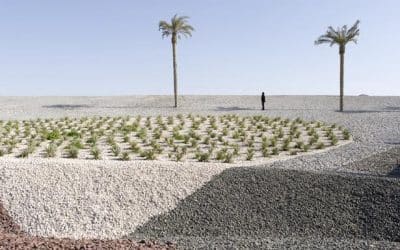 Leading Contemporary Arab Artists Featured In 2014 FotoFest Biennial