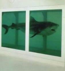 Damien Hirst Survey Tate Modern 2012