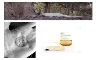 Women’s History Month Announces Ambitious Art Exhibitions Programme