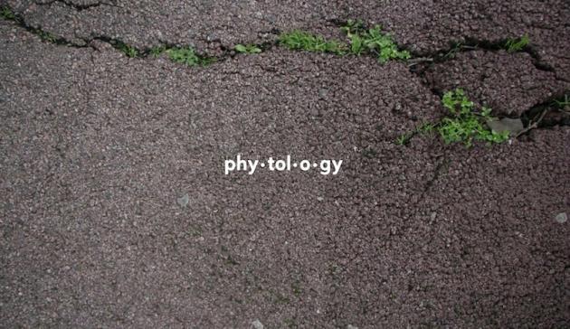 Artists And Botanists Take Over Urban Nature Reserve In Bethnal Green