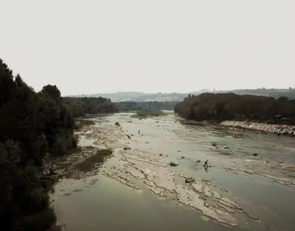 Andreas Gursky: Pictures That Conjure Both Topography and