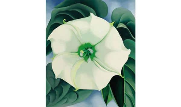 Sotheby’s To Auction Most Iconic Works By Georgia O’Keeffe