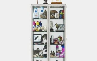Damien Hirst To Auction Cabinet Piece For Victim Education Programs