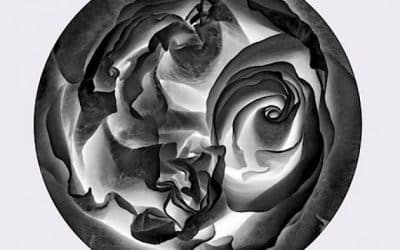 Paul Carey Kent  reveals His Ten Hot Alternatives To Frieze