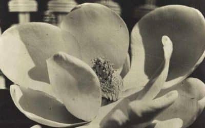 Man Ray Trust To Auction Important Works Of Dada And Surrealist Art