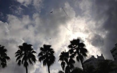 Art Basel Miami: Summing Up Superficiality In The Contemporary Art World