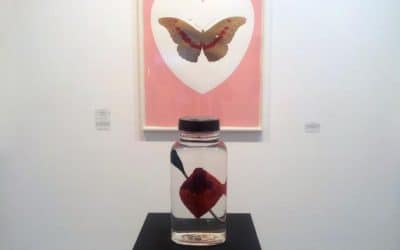 Damien Hirst For Valentine’s Day Pop-up Show At Paul Stolper