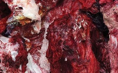 Anish Kapoor Makes A Radical Return To Painting In New London Exhibition