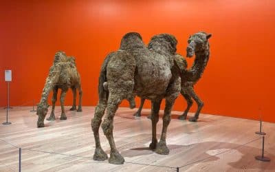 New York Art Exhibition Insights Autumn 2025 – Ilka Scobie