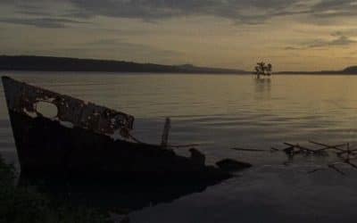 Ben Rivers: Major Solo Show Announced For Camden Arts Centre