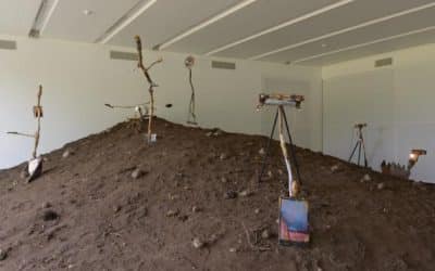 Turner Prize Winner Laure Prouvost: First Solo Presentation In Nordic-Baltic Region