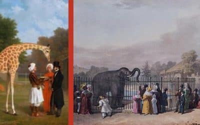 Exotic Creatures As Depicted By The Georgians Explored In New Exhibition