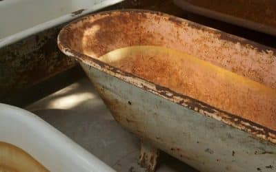 Dorothy Cross: New Exhibition To Open At Frith Street Gallery