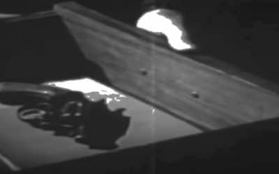 Digital Art Biennale The Wrong Launches Online