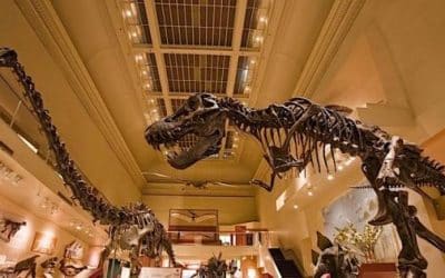 Smithsonian Decides Today Whether To Open A London Satellite Branch