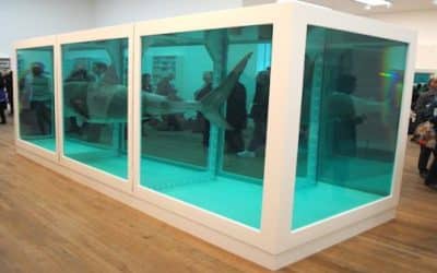 Damien Hirst Put Tate Staff At Risk From Formaldehyde Poisoning