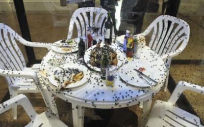 Dropping Out Like Flies In A Damien Hirst Installation