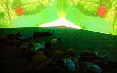 Pipilotti Rist A Sight For Sore Eyes