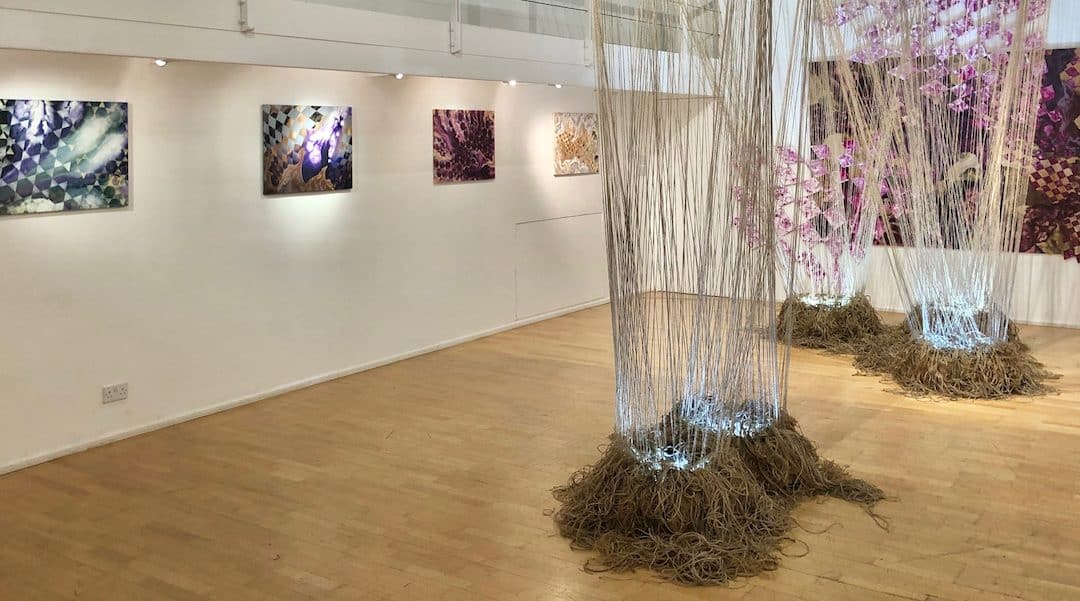 Drawn To Another World Alexander Hinks – The Cello Factory