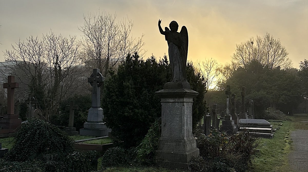 Obituaries Art World Figures Who died 2025