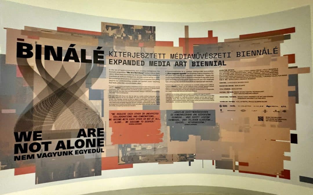 Budapest Expanded Media Art Biennale Grapples With The Digital Zeitgeist – Susan Schulman