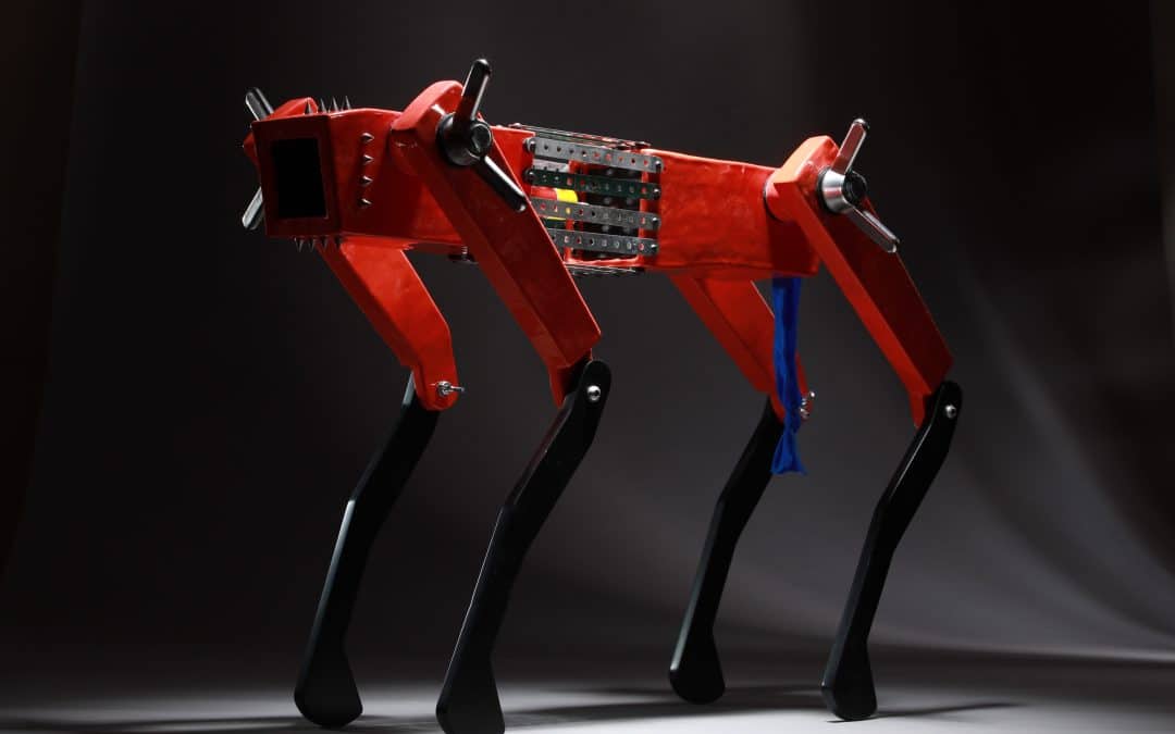 SAS Secret Apartment Part 2 Opens For Closing Week Venice Biennale 2024