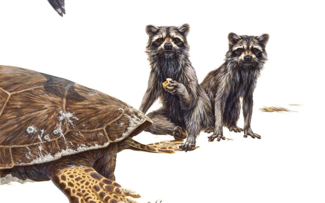 George Boorujy An Artist Highlighting And Protecting Our Precious Natural World