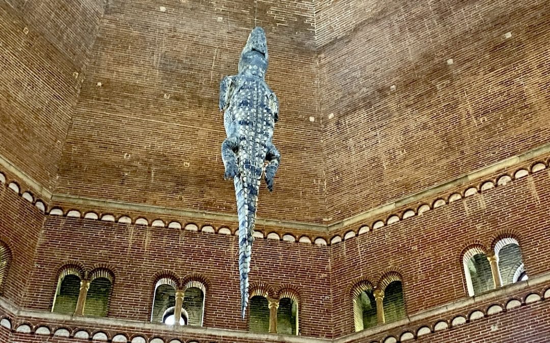 Milano And Beyond Ilka Scobie Explores Summer Exhibitions In Italy