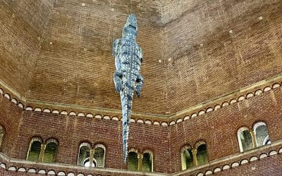 Milano And Beyond Ilka Scobie Explores Summer Exhibitions In Italy