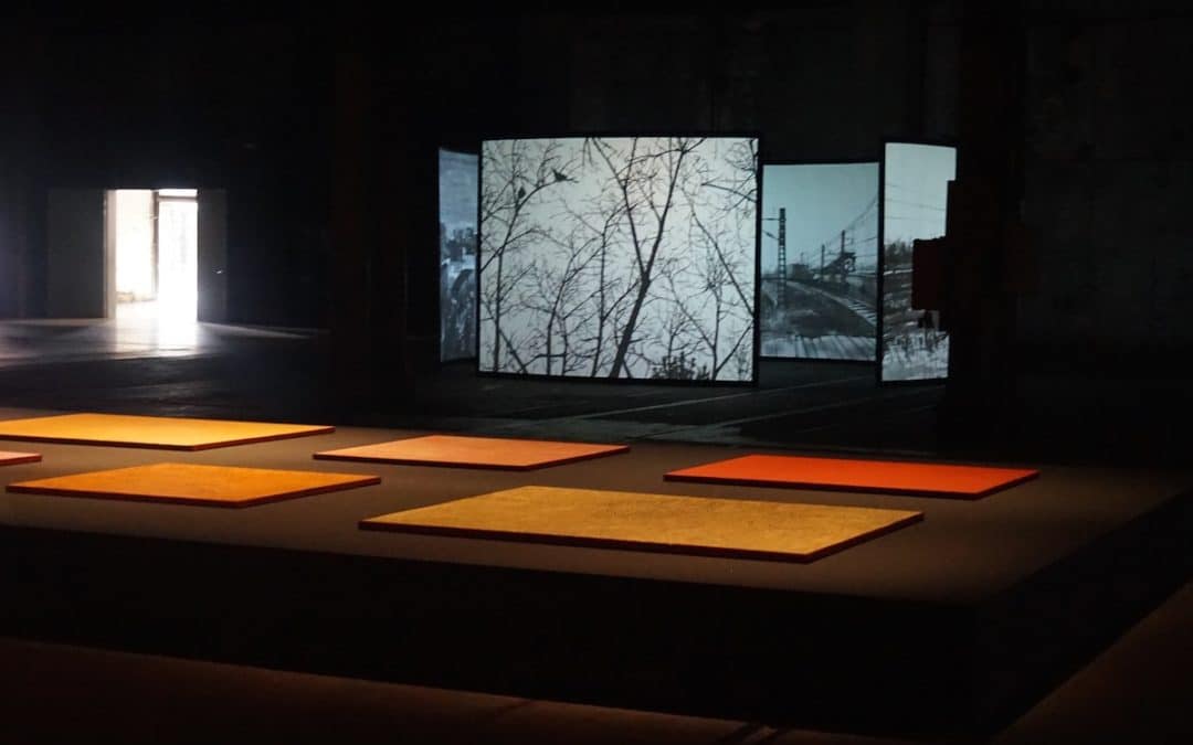 Sydney Biennale 10 Of The Best – Martin Brown