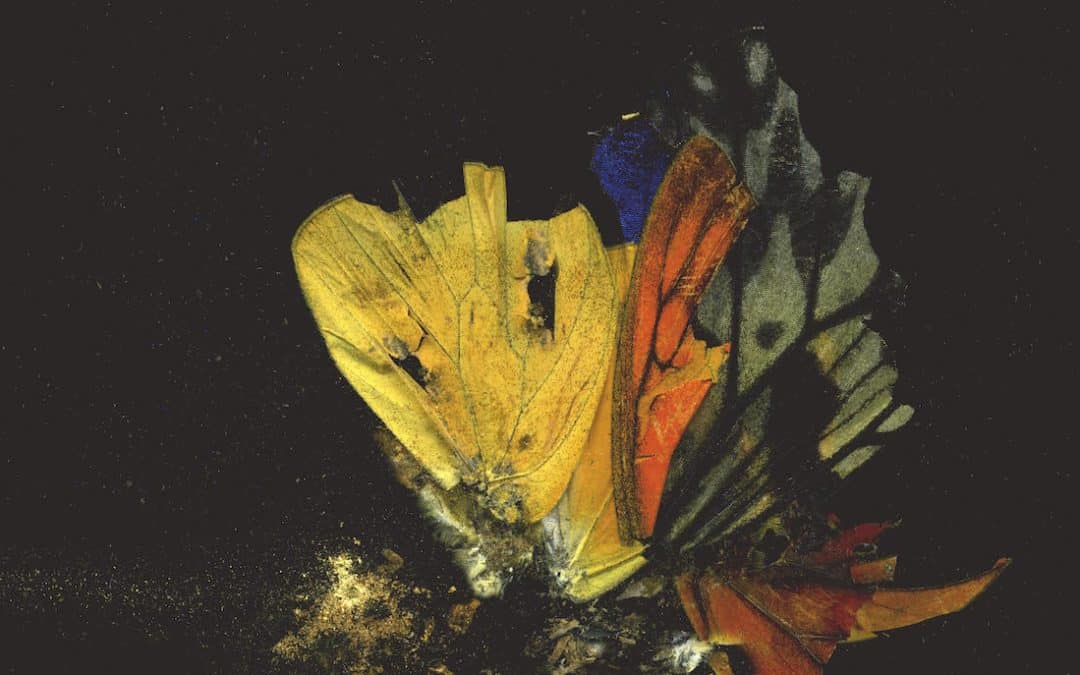 Online Art Trade Report Shows Art Market Sales Reach £2.92 Billion