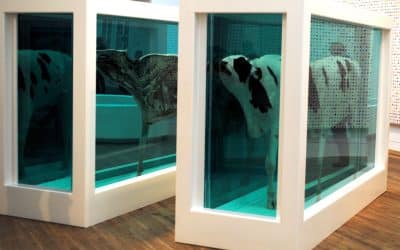 Damien Hirst Mother And Child (Divided) 1993 – Significant Works – Sue Hubbard