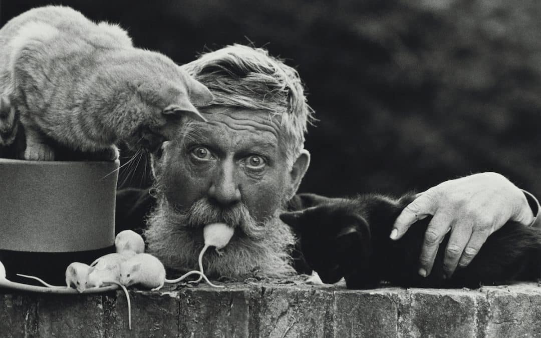 Photographer Don McCullin Online At Hamiltons – Edward Lucie-Smith