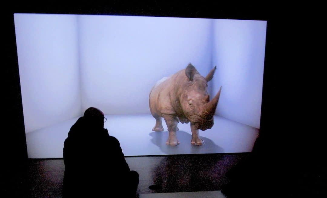 Eco-Visionaries: Moralistic Participation – Edward Lucie-Smith