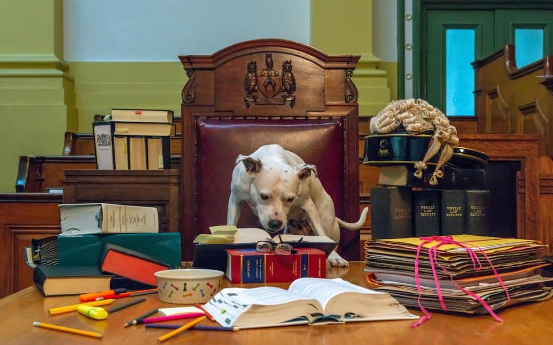 Compass 2018: Live Art And Interactive Encounters Across Leeds