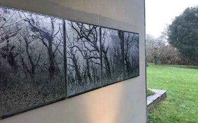 Tessa Traeger – New Art Centre – Roche Court – Sue Hubbard