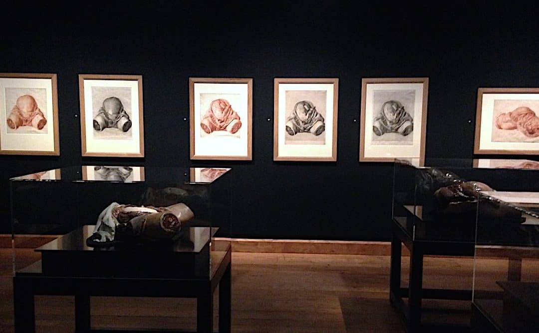 William Hunter: Anatomy of the Modern Museum – Clare Henry 