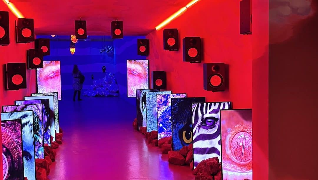 Turner Prize: Liverpool Hosts Challenging 2022 Edition – Alice Lenkiewicz