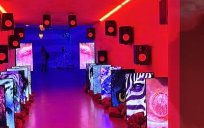 Turner Prize: Liverpool Hosts Challenging 2022 Edition – Alice Lenkiewicz