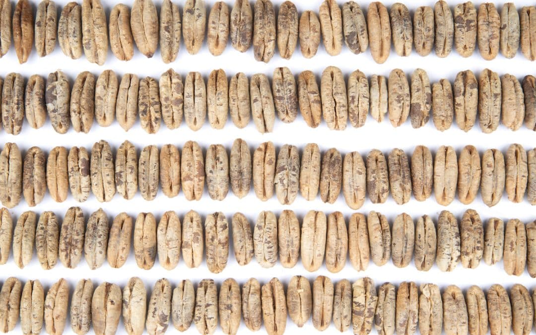 Issam Kourbaj Kettle’s Yard And Heong Gallery Cambridge – Revd Jonathan Evens