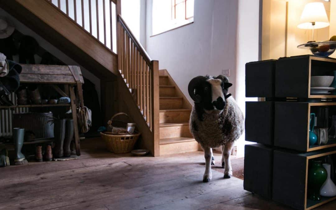 Solitude An Essay By Jeremy Cooper