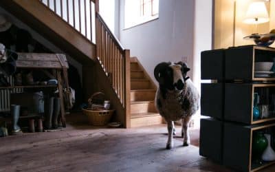 Solitude An Essay By Jeremy Cooper