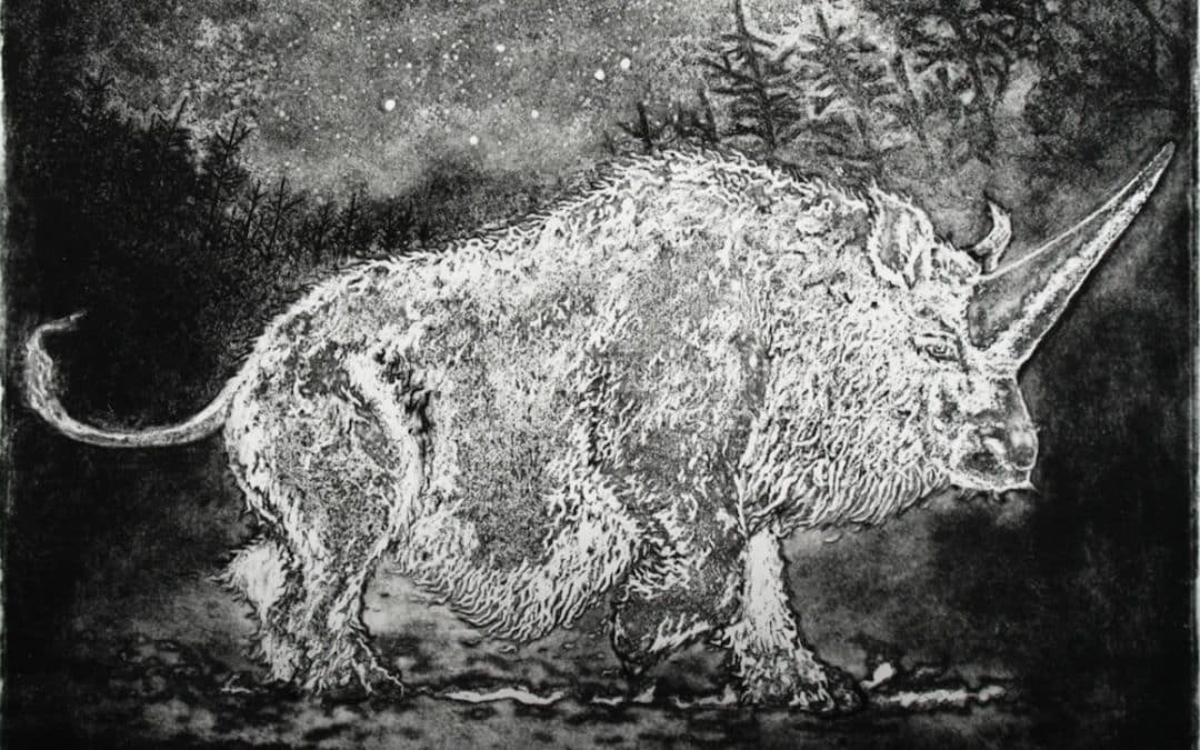 Nicole Wassall Unicorns Are Real – James Payne