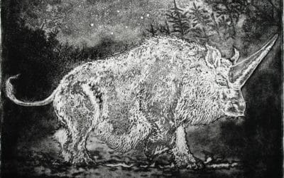 Nicole Wassall Unicorns Are Real – James Payne