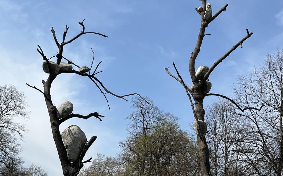 Giuseppe Penone Thoughts in The Roots Serpentine – Sue Hubbard