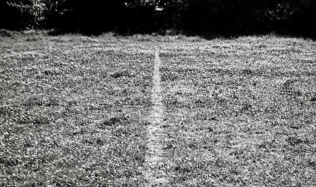 Richard Long: A Line Made By Walking 1967 – Significant Works – Sue Hubbard