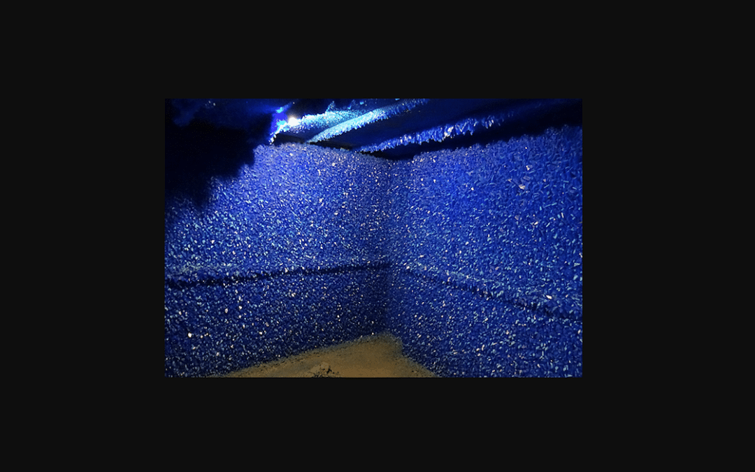 Top 10 London Art exhibitions of 2009 – Artlyst