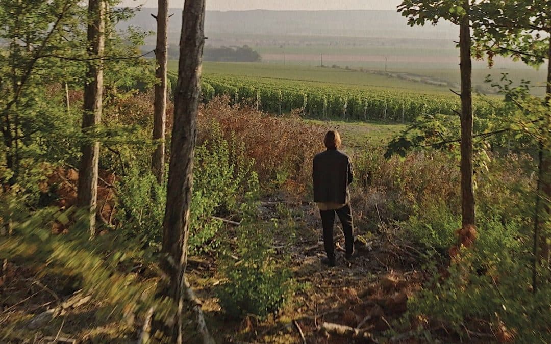 Sam Falls: Conversations with Nature — Ruinart at Frieze London 2025