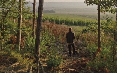 Sam Falls: Conversations with Nature — Ruinart at Frieze London 2025