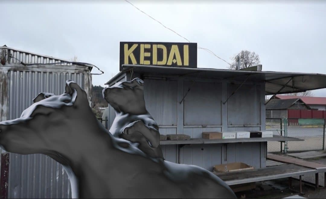 Global Migration Explored In Outlands Survival Kit 10.0 Riga